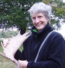 Deer walk donna crop antlers web