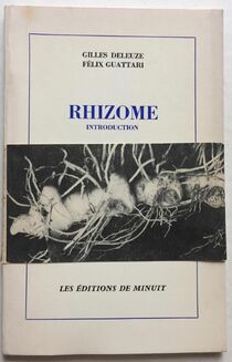 Rhizome