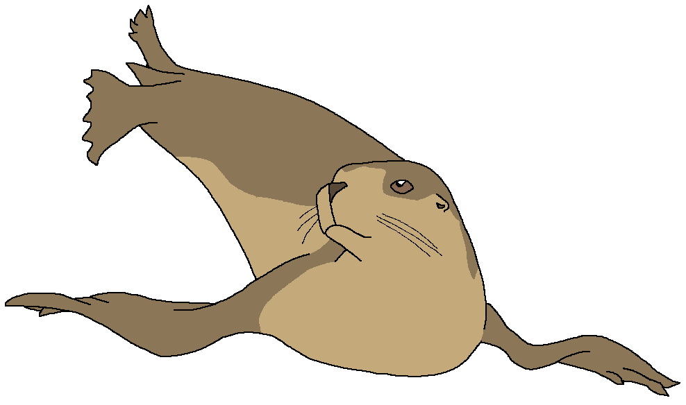 Make Your Own Continent (2025)/Animals/Australia English and Non