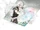 Psychedelica of the Ashen Hawk/Lugus/Gallery