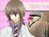 Hatoful Boyfriend/Shuu Iwamine