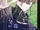 9 R.I.P./Koyo/Gallery