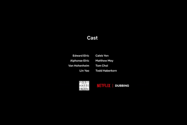 Fullmetal alchemist english dub netflix best sale