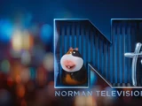 Norman Television (2016)