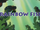 Rainbow Fish (2000)
