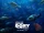 Finding Dory (2016)