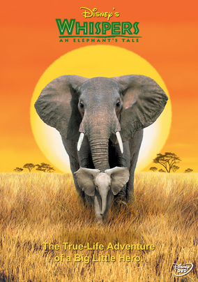 Watch whispers an elephant's tale online free hot sale