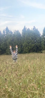 Twitter November 9, 2020