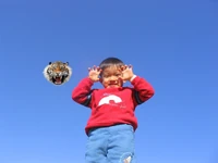 Twitter November 10, 2020