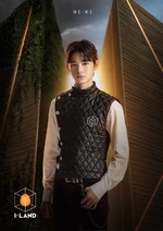 NI-KI I-LAND profile photo.png (1.97 MB) NI-KI I-LAND Profile Photo