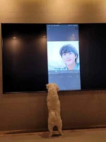 Jungwon-Weverse-Update-220329.jpg (26 KB) Weverse March 29, 2022