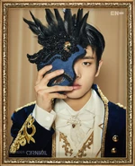 BORDER : CARNIVAL #7 UP ver. #1