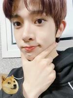 Twitter November 12, 2020