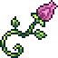 Dionysus' Bloom inventory icon
