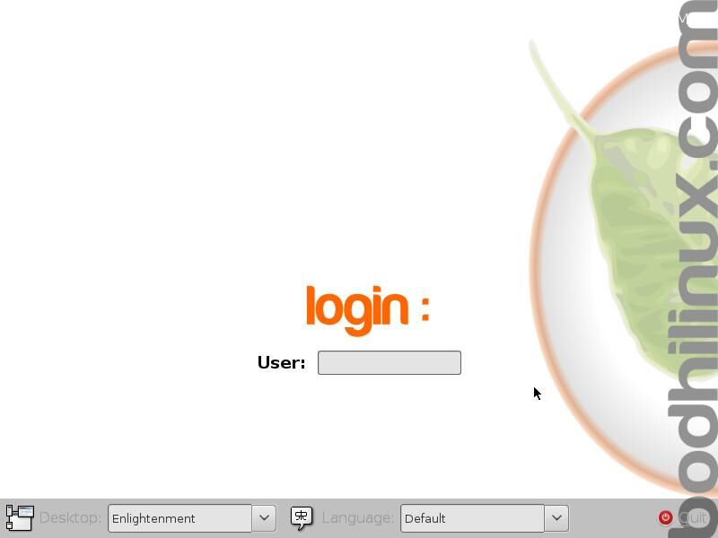 Bodhi logo.jpg