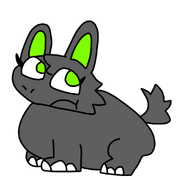 RosarosetheRabhipmoschops