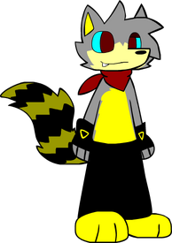 Sare the raccoon