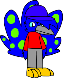 Xana the Peacock