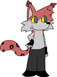 Fuga the lynx