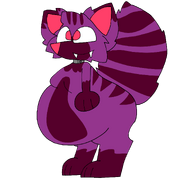 NooGailamtheCat