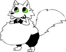 Sage the persian cat