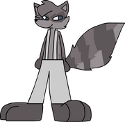 Can the Raccoon