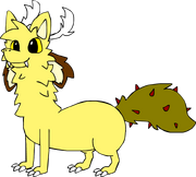 Caf