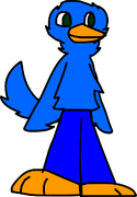 Oakys the bird