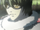 Matt (Death Note)
