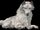 Dog (Resident Evil 4)