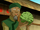 The Cabbage Merchant