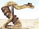 Rattlesnake Jake
