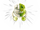 Monodam