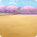 Ground (Cherry Blossom Festival)