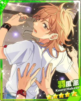 kaoru Radiator Core Protector | Yoshimura Japan