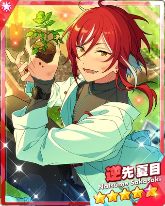 新版アリストテレス全集　全巻(2.8.9.11.14.17.20巻除く) 13巻 新版アリストテレス全集 全巻(2.8.9.11.14.17.20巻除く) 13巻