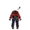 Meteors' Anniversary Rock Icon