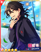 (Mystery and Exhibition) Rei Sakuma M