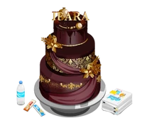 Ibara Saegusa Birthday Cake