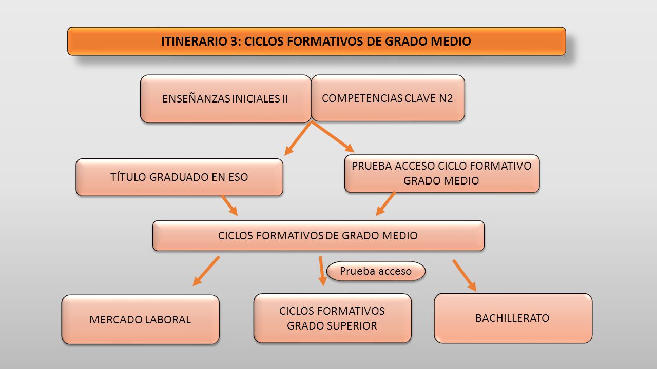 CICLO FORMATIVO GRADO MEDIO Enseñamos para que Aprendan Wiki Fandom CICLO FORMATIVO GRADO MEDIO Enseñamos para que Aprendan Wiki Fandom