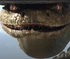 Rattlesnake-John-Rango