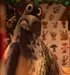Murai-(Robin-Robin)