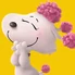 Fifi