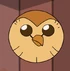 Hooty TOH
