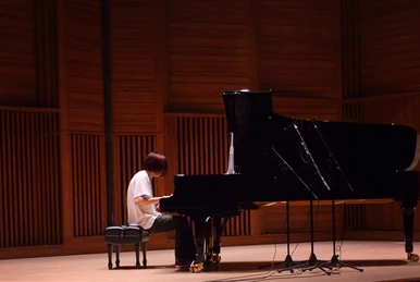 ピエロ (Pierrot)/Hayashi Kei | Vocaloid Wiki | Fandom