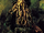 Davy Jones (Pirates of the Carribean)