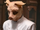 Professor Pyg (Gotham)