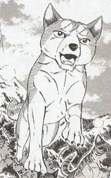 銀牙 流れ星 銀 Entertainment Wiki Fandom