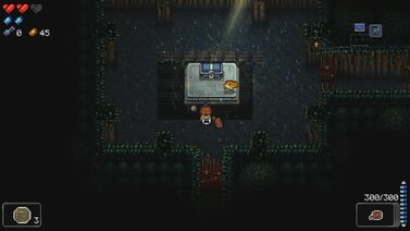 enter the gungeon wiki fandom