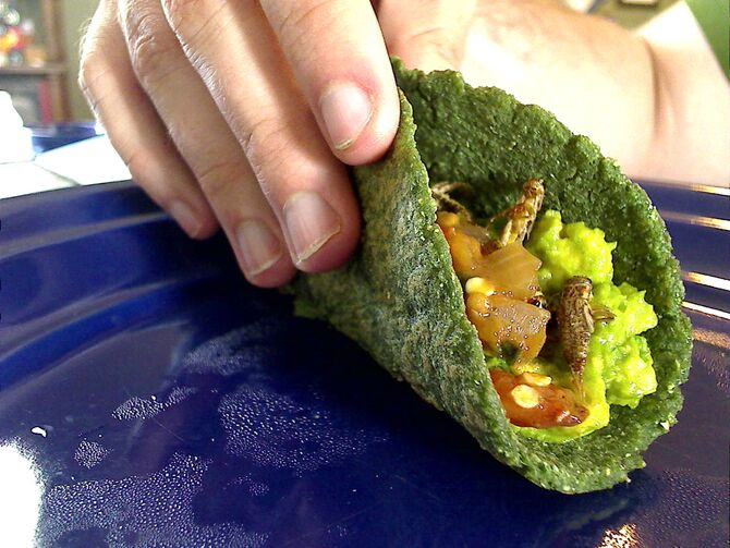 Super green cricket tacos